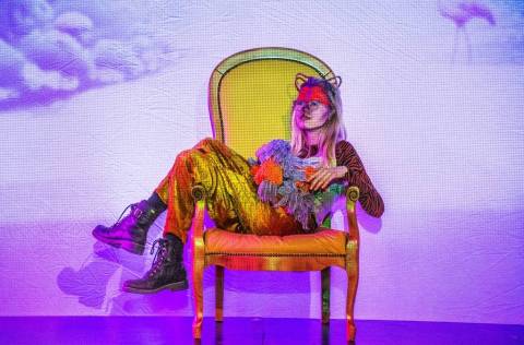 Goldoni_24_01_2026_Stuck_2-100_original