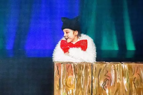 Goldoni_01_03_2026_Stuck_1-33_original