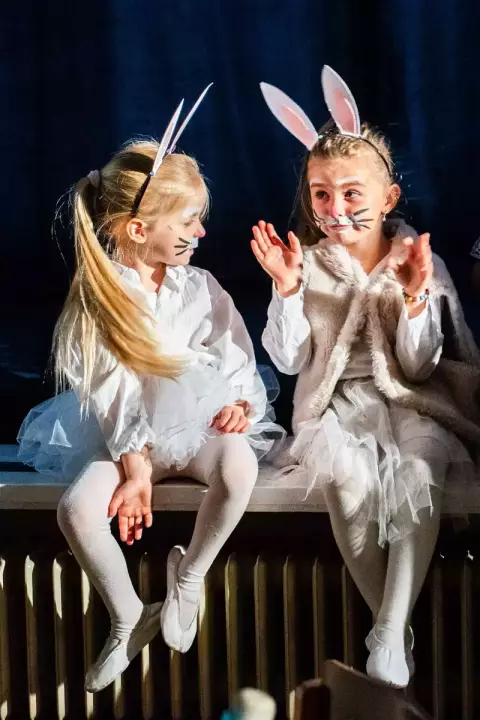 Goldoni_07_07_2026-2_original